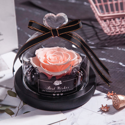 Eternal Rose Gift Box with Glass Dome Decoration