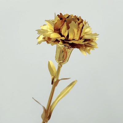 Carnation and Rose Flower Gift for Mother's Day and Teachers