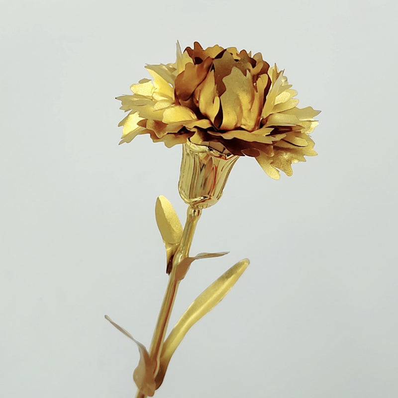 Carnation and Rose Flower Gift for Mother's Day and Teachers